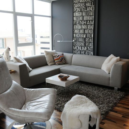 Cozy Grey Living Room
