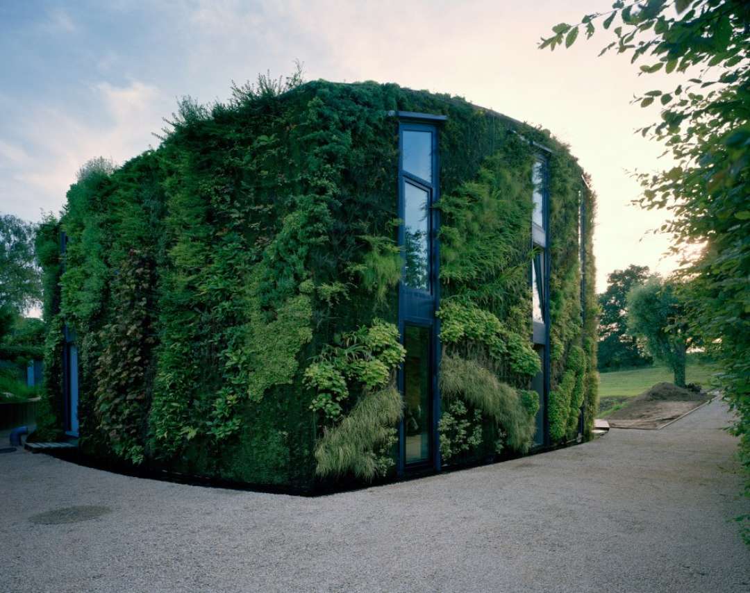 Foliage Covered House in Brussels.